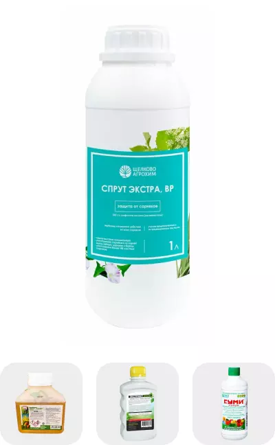 Ingrijirea plantelor