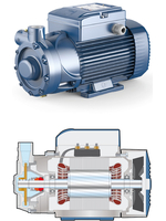 Вихревой насос PQ 3000 Pedrollo 2,2 kW