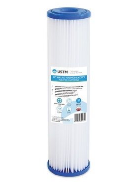 4elementsCartus plisat din polipropilena Big Blue 20'', 20 microni USTM  