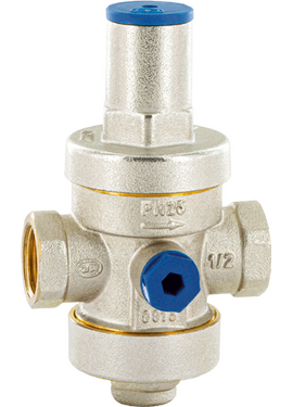 4elementsРедуктор давления PN25 3''FF OR