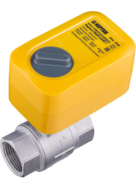 Кран с электроприводом Neptun PROFI 220В 1''