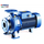 4elementsPompă centrifugă a standardului "EN 733" Pedrollo F 65/250A 45 kW