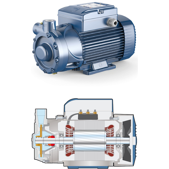 4elementsPompă vortex PQ 3000 Pedrollo 2,2 kW