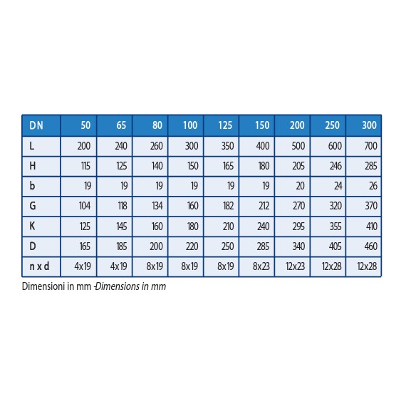 4elementsОбратный клапан (чугун) DN65 IVR, изображение 2