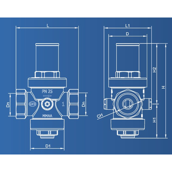 4elementsРедуктор давления PN25 3''FF OR, изображение 4