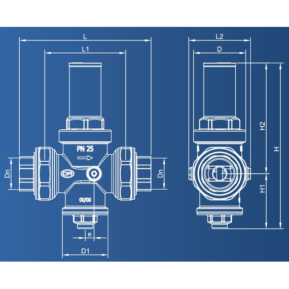 4elementsРедуктор давления поршневого типа с америк PN25 1 1/4" FF OR, изображение 4