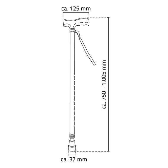 4elementsТрость с регулировкой по высоте Ally черная алюминий полипропилен Ridder, изображение 4