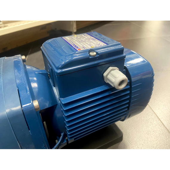 Самовсасывающий центробежный насос для бассейна Pedrollo 2.2kW MAGNIFICA 5m, изображение 2