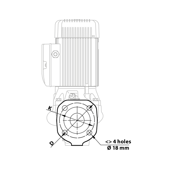 Центробежный насос IN-LINE Pedrollo WR 40/125-SA 0,75 kW, изображение 3