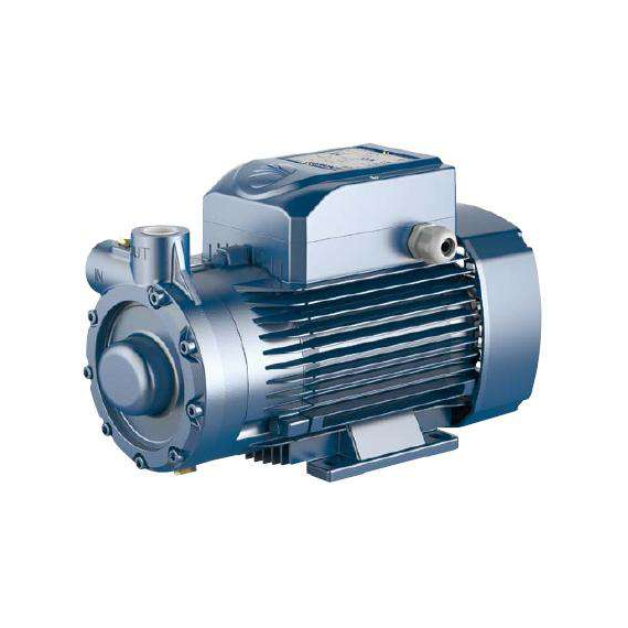 4elementsPompa turbionara PQ3000 Pedrollo 2,2 kW, изображение 2