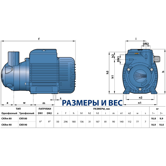 4elementsPompa autoamorsantă cu inel de lichid Pedrollo CKRm 90 0,75 kW, изображение 4