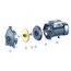 4elementsPompa centrifuga Pedrollo CPm220C 2,2 kW, изображение 2