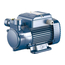 4elementsPompa turbionara Pedrollo PQ81-PRO 0,45 kW, изображение 2