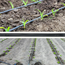 4elementsBandă de picurare KUBBER Drip Line d.16mm, 6mil, 30cm, 1,5l/h, изображение 5