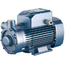 4elementsPompa turbionara PQ3000 Pedrollo 2,2 kW, изображение 2