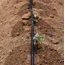 Капельная трубка KUBBER Drip Line d.16mm, 0,8 мм, 30cm, 2l/h, изображение 5